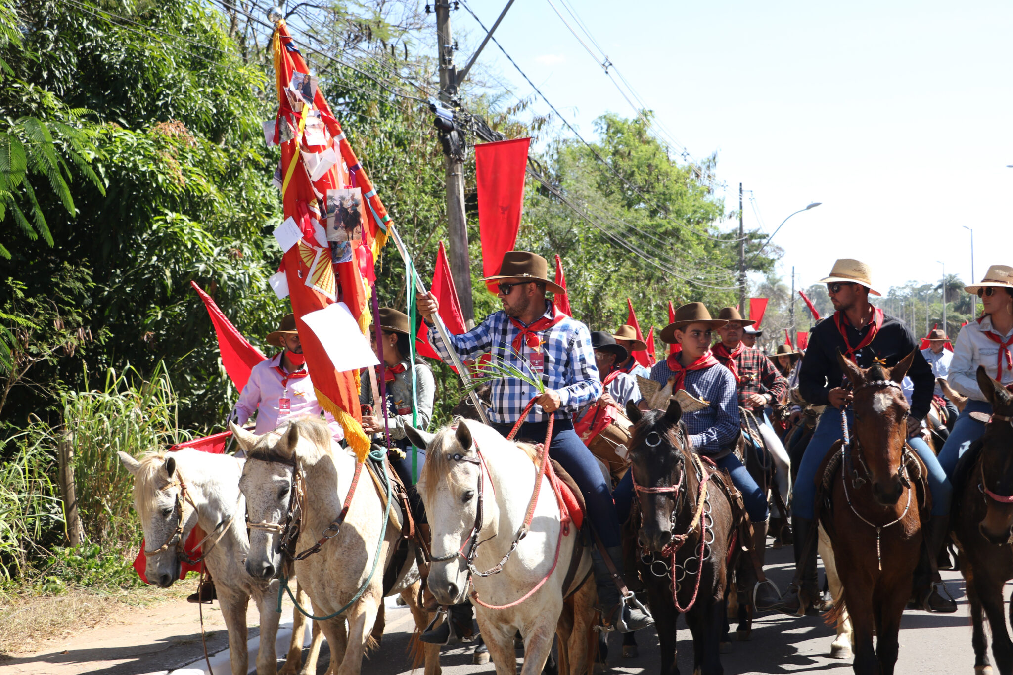 Conheça a programação da 141ª Festa do Divino Espírito Santo de