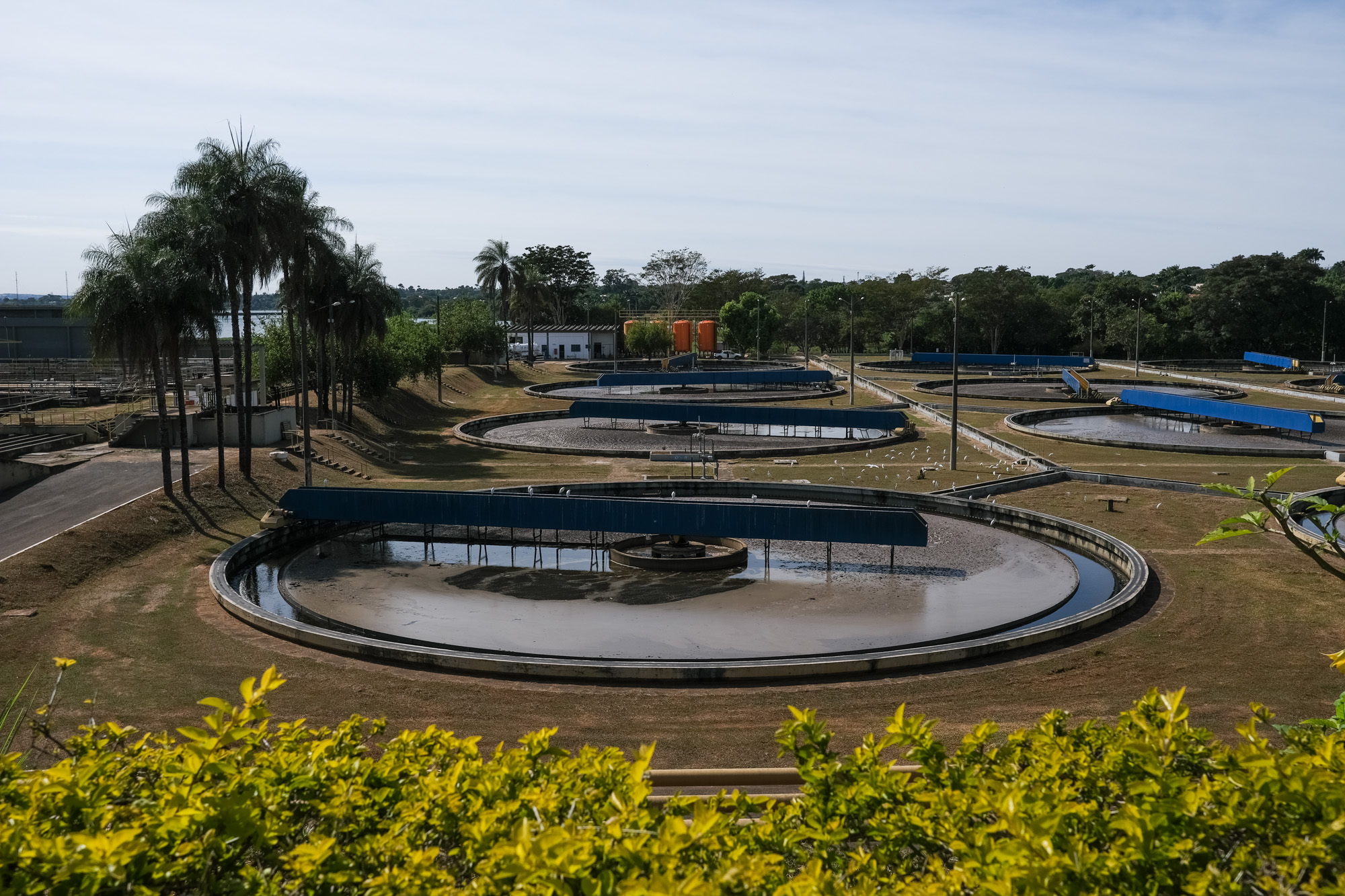 Campeonatos de xadrez e futebol beneficente agitam Brasília neste